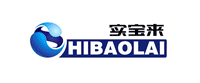 北京實(shí)寶來(lái)游樂(lè)設(shè)備公司VI設(shè)計(jì)系統(tǒng)
