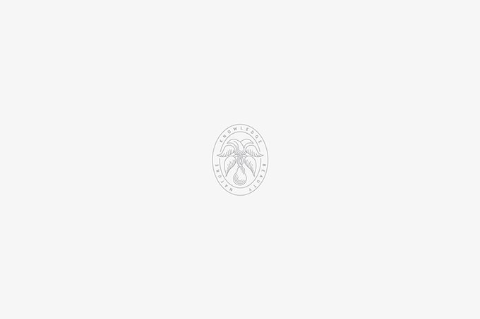 化妝品商標怎么設計？化妝品商標設計欣賞-4